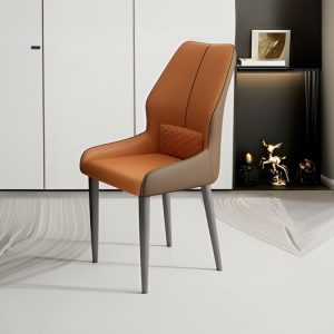 Turtle Ergonomic Dining & Accent Lounge Chair